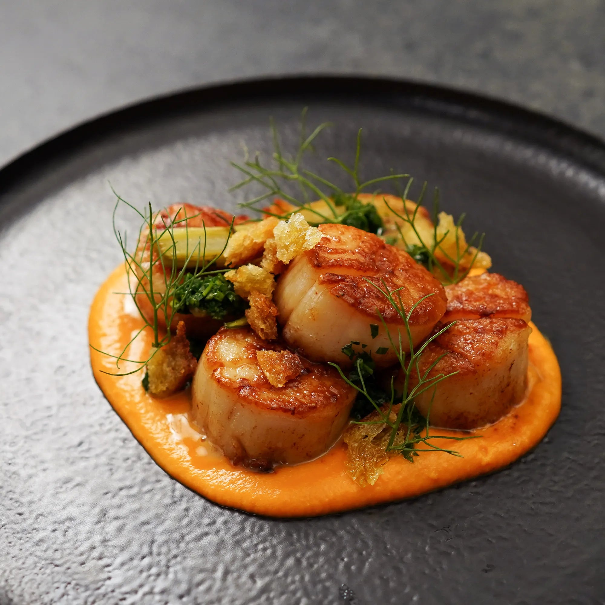 Seared sea scallops on bright orange purée, garnished with fennel fronds, broccolini florets, and crispy breadcrumbs, served on a textured black plate.