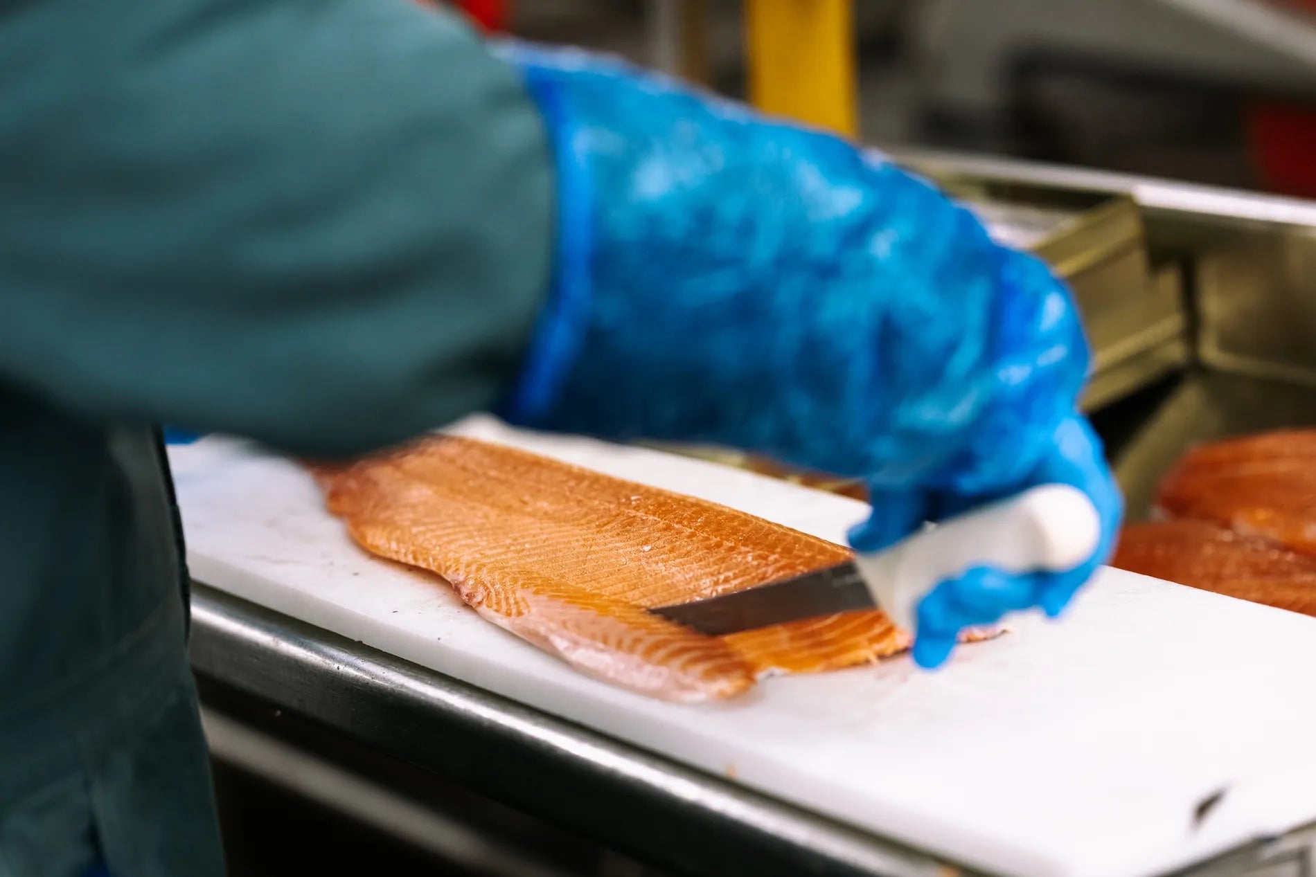 Person wearing blue gloves cutting a piece of salmon on a white surface.