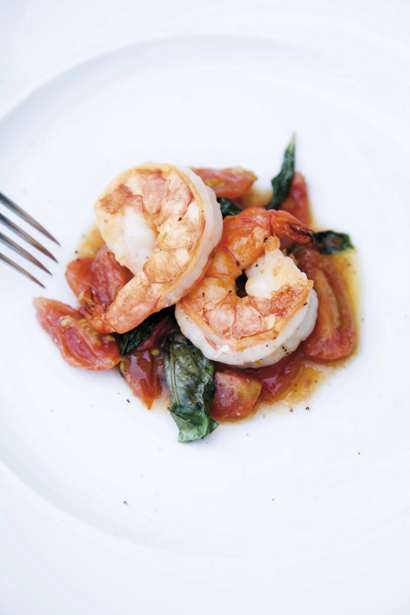 Scallops with tomato sauce and basil on a white plate with a fork.