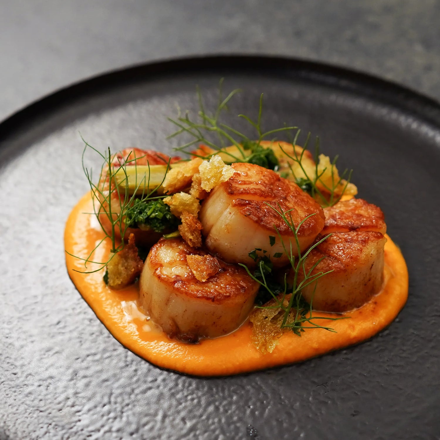 Seared sea scallops on bright orange purée, garnished with fennel fronds, broccolini florets, and crispy breadcrumbs, served on a textured black plate.