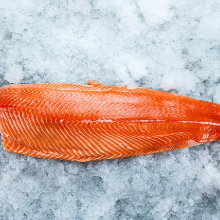 whole pink fish filet on ice