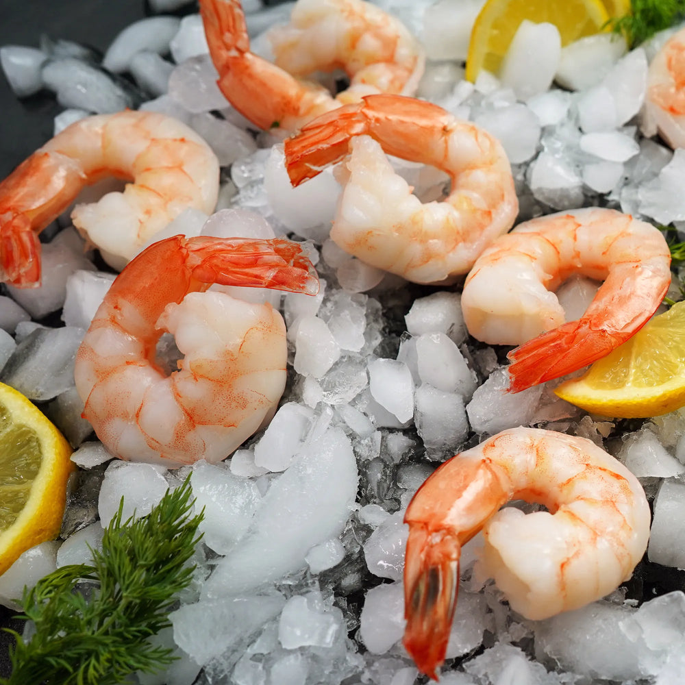 Shrimp on Ice