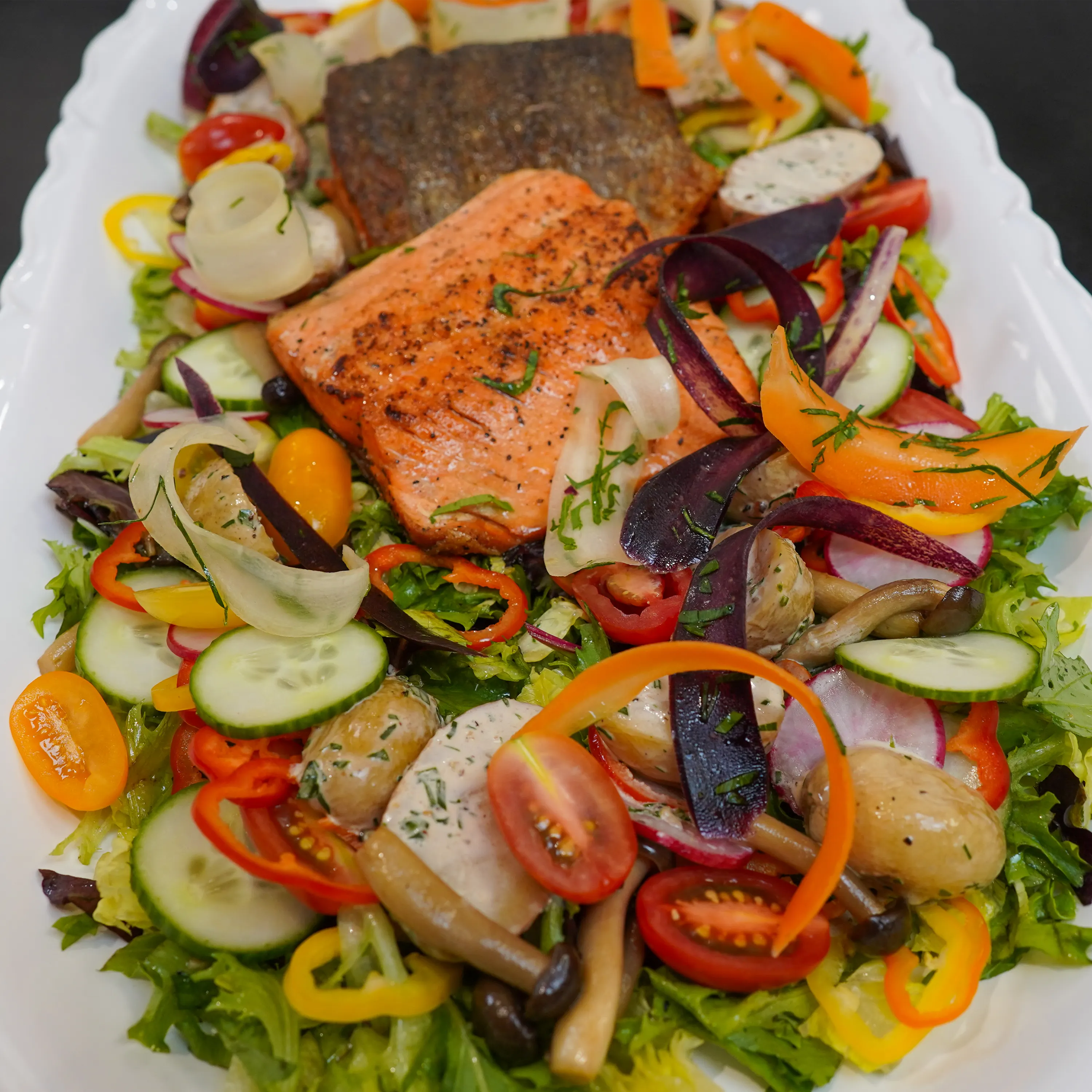 Cooked Salmon Fillet on Salad