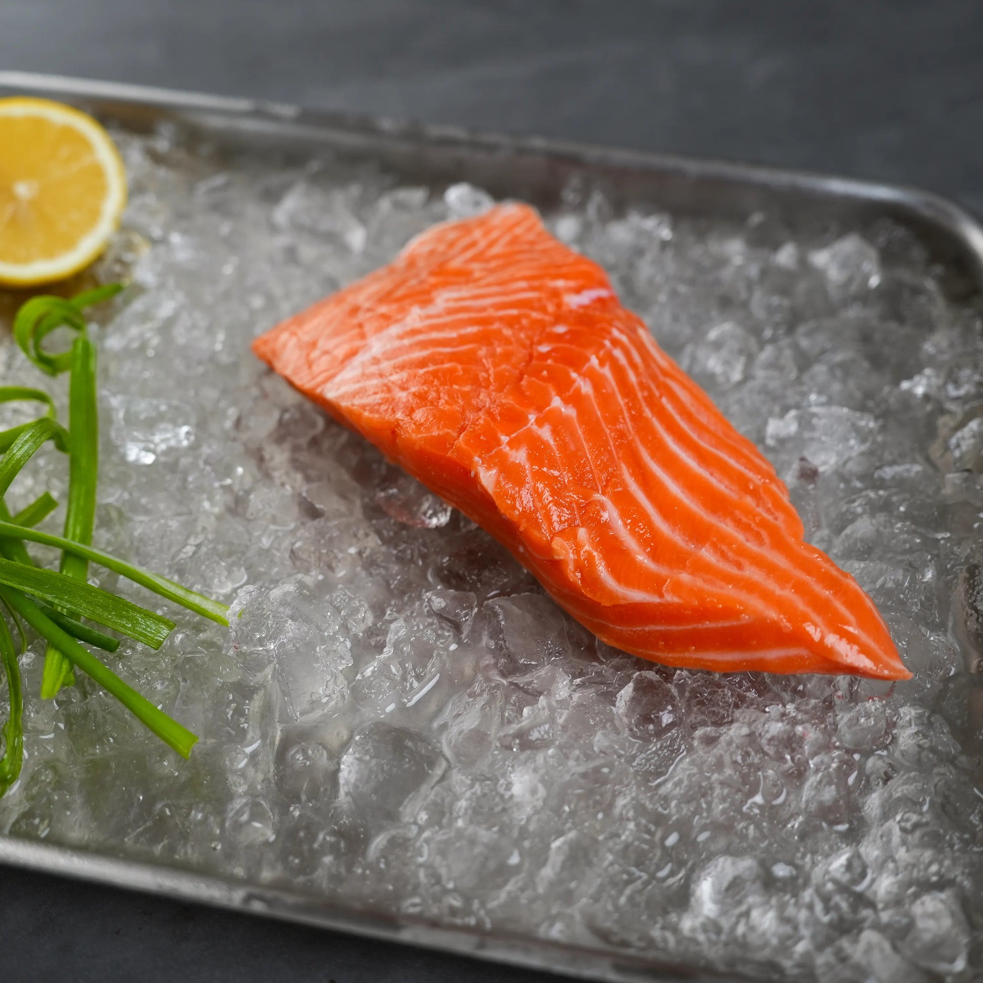 Salmon FIlet on Ice