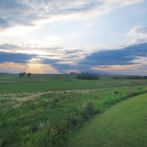 Green field with trees under a cloudy sky