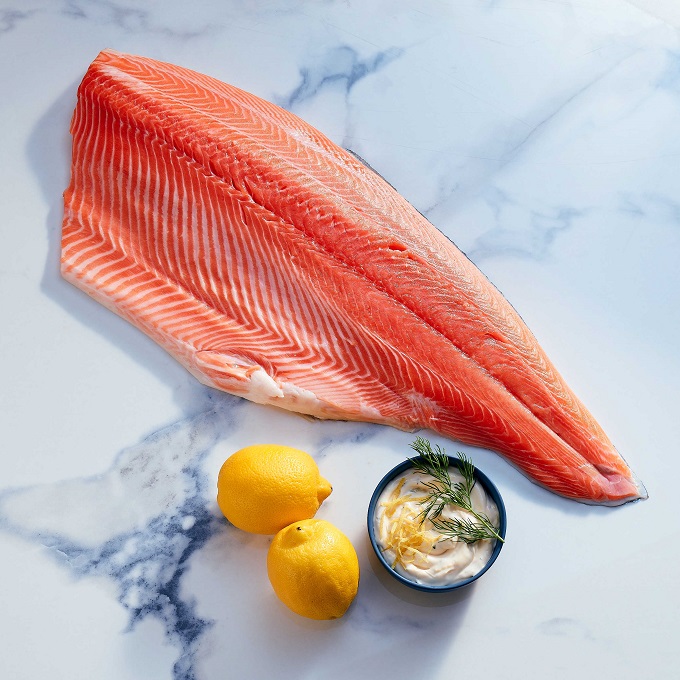 Salmon