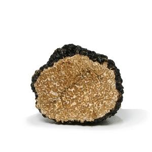 Fresh Burgundy Truffles